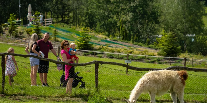 Celodenní vstup do Farmaparku včetně všech atrakcí a kyblík krmení nebo plyšák