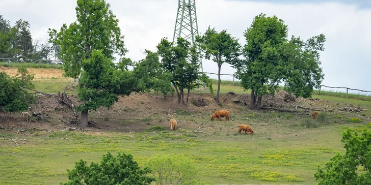 Celodenní vstup do Farmaparku včetně všech atrakcí a kyblík krmení nebo plyšák