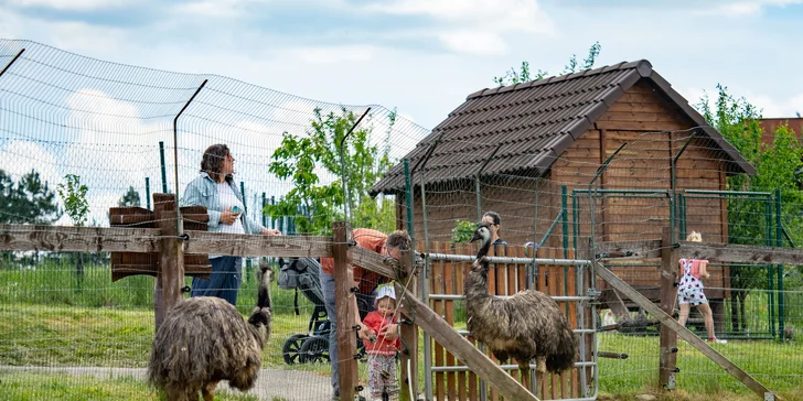 Celodenní vstup do Farmaparku včetně všech atrakcí a kyblík krmení nebo plyšák