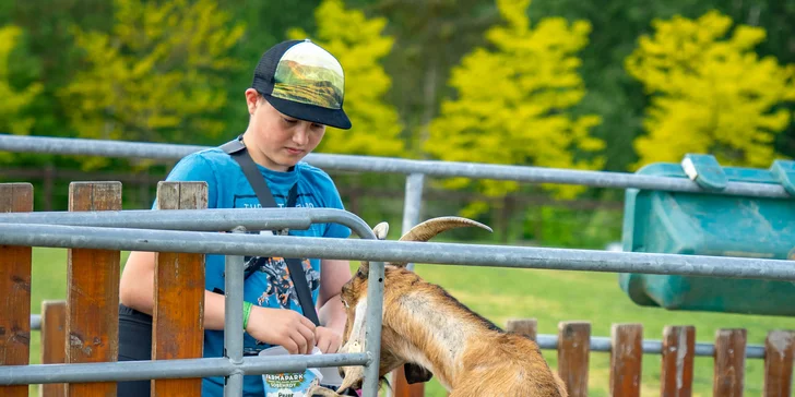 Celodenní vstup do Farmaparku včetně všech atrakcí a kyblík krmení nebo plyšák