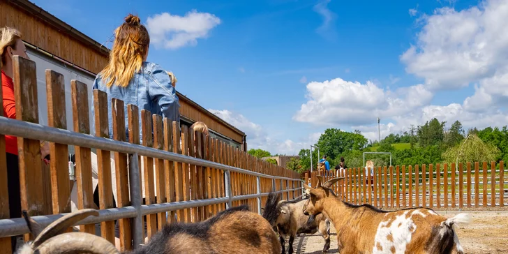 Celodenní vstup do Farmaparku včetně všech atrakcí a kyblík krmení nebo plyšák