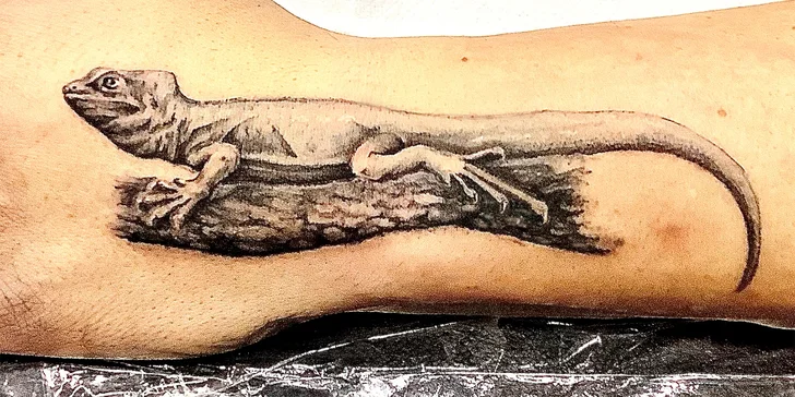 Nové tetování v salonu Leo_tattoo_piercing: velikost 5 × 5 až 20 × 20 cm