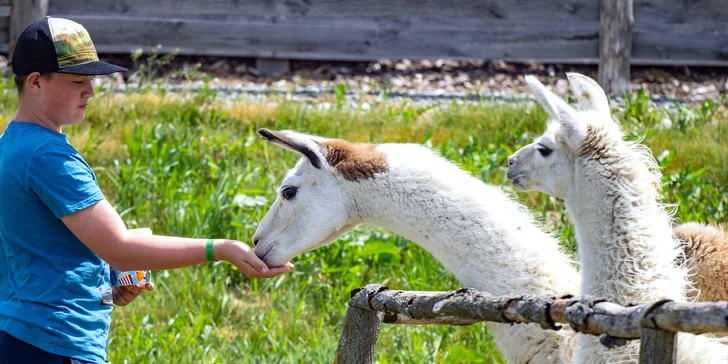 Celodenní vstup do Farmaparku včetně všech atrakcí a kyblík krmení nebo plyšák