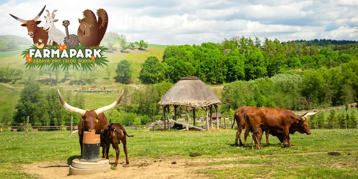 Vstupné na víkendové akce ve Farmaparku: celodenní program, vystoupení, známé osobnosti, zvířátka, atrakce