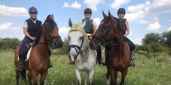 Letní zábava v sedle: příměstský tábor s koňmi pro děti od 9 do 18 let