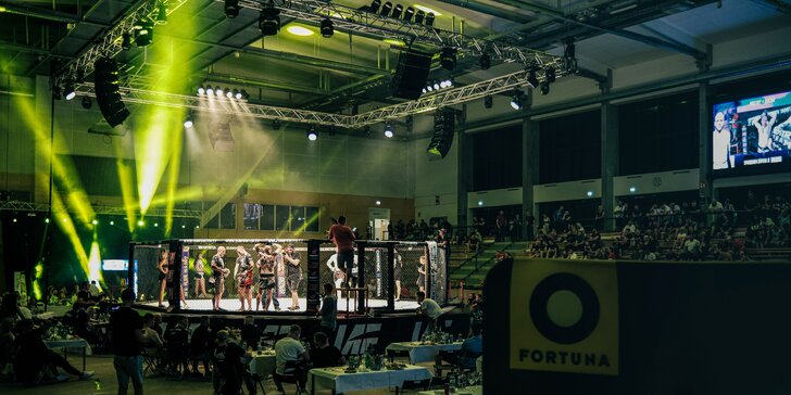 I Am Fighter: vstupné na galavečer MMA v Královce s kopou hvězd ze světa bojových sportů