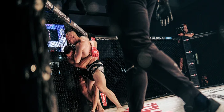 I Am Fighter: vstupné na galavečer MMA v Královce s kopou hvězd ze světa bojových sportů