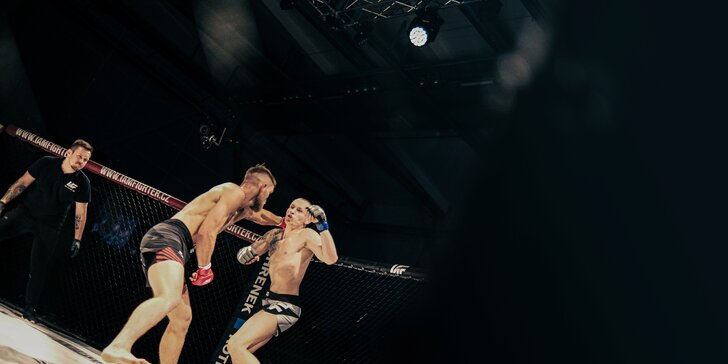 I Am Fighter: vstupné na galavečer MMA v Královce s kopou hvězd ze světa bojových sportů