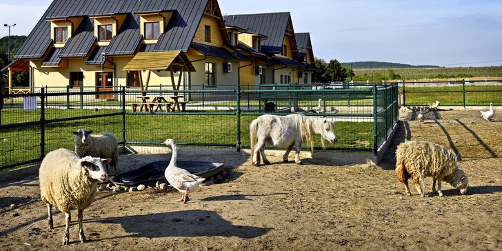 Pohoda v Malých Karpatech: snídaně či polopenze, sekt i jízda na koni a tenis