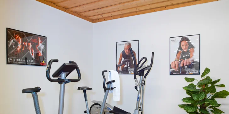 Dovolená v Bavorském lese: 3* hotel se snídaní a neomezeným wellness