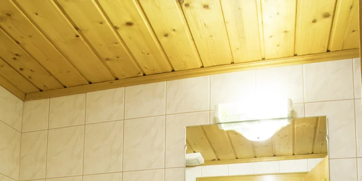 Rakouské Alpy, oblast Lungau: pobyt s polopenzí a wellness, termíny od jara do podzimu