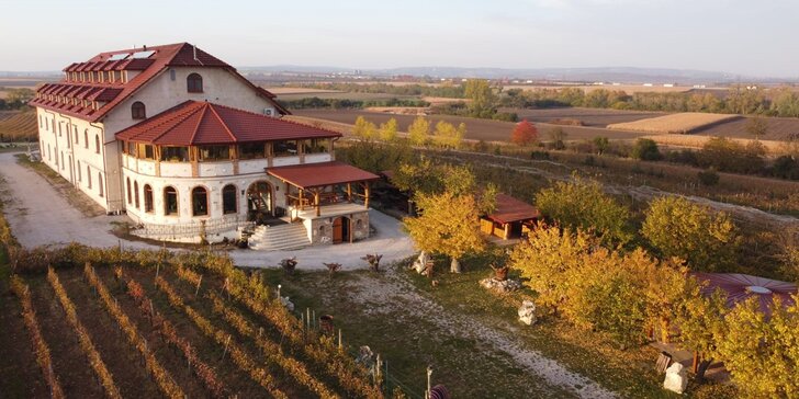 Relax na jižní Moravě: ubytování mezi vinicemi, polopenze a víno, Valentýn i Velikonoce