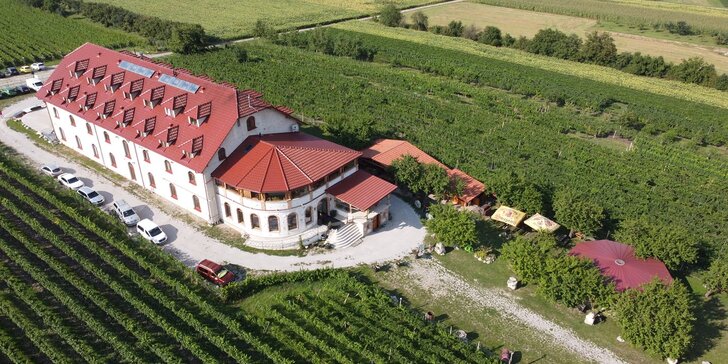 Relax na jižní Moravě: ubytování mezi vinicemi, polopenze a víno, Valentýn i Velikonoce