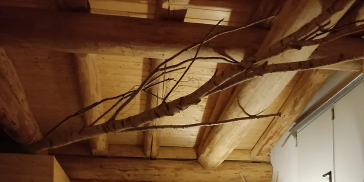 Na lyže do rakouských Alp: krásná horská chata přímo na sjezdovce a snídaně