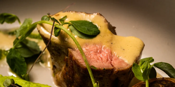 Vyladěné 4chodové menu v moderní restauraci: japonský tatarák i panenka sous vide