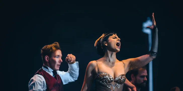 Vstupenka na benefiční muzikálové představení Horečka nedělní noci