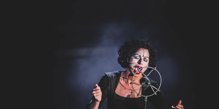 Vstupenka na benefiční muzikálové představení Horečka nedělní noci