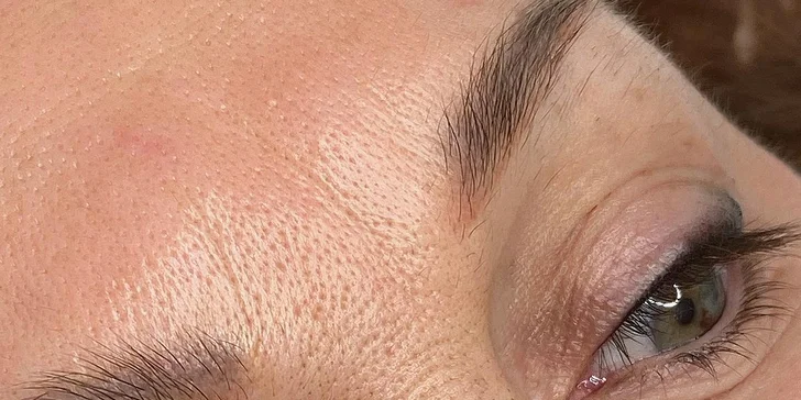 Permanentní make-up: oční linky, obočí pudrovou metodou i výplň rtů