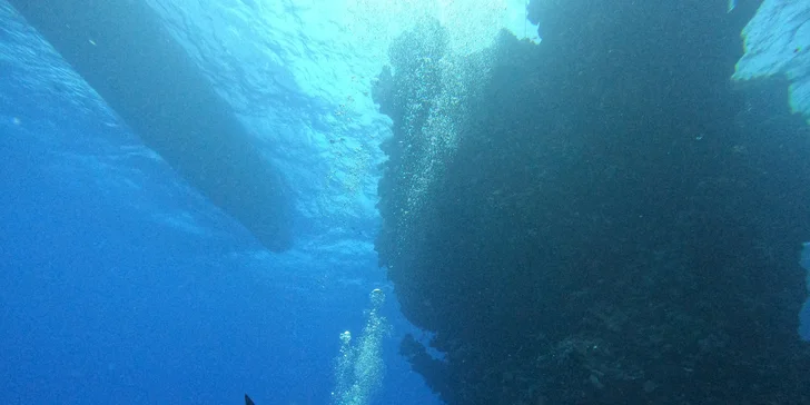 Komplexní potápěčský kurz pro začátečníky se školou Enjoy diving