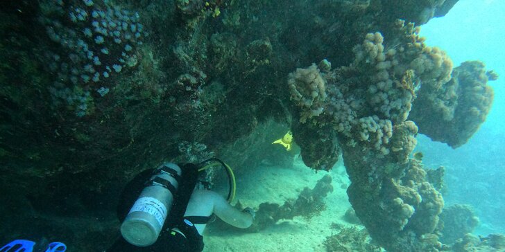 Mezinárodně platný potápěčský kurz pro začátečníky se školou Enjoy diving