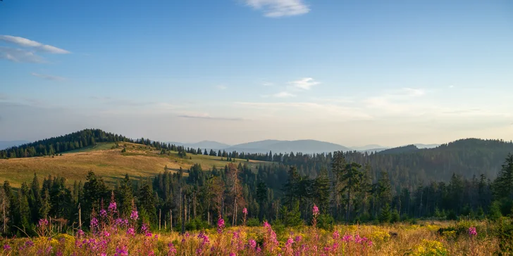Pobyt se snídaní v lázeňském resortu včetně vstupů do termálních lázní