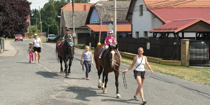 Zážitkový den s koňmi pro dvě osoby: od krmení a čištění boxů až po jízdu, první sobota v měsíci