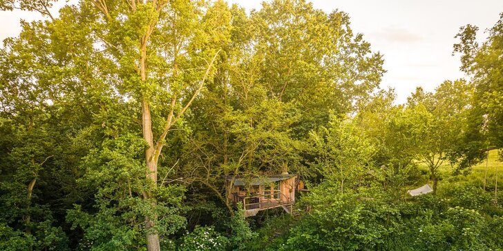 Ubytování na stromě: kouzelný pobyt v tajuplném lese poblíž Orlíku až pro 4 osoby