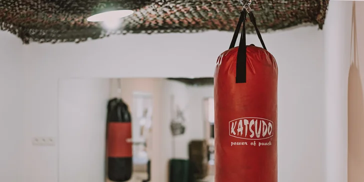 1 nebo 10 vstupů do posilovny Army Gym ve všední dny v čase 11:00-15:00