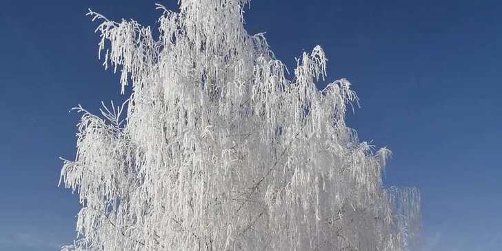 Pohoda v penzionu v Litomyšli: snídaně, sauna a centrum na dosah
