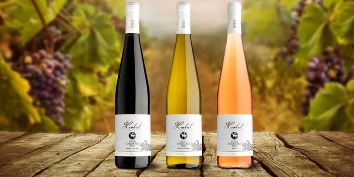 Set 3 a 6 svatomartinských vín vinařství Hrabal s vyzvednutím ve Vršovicích
