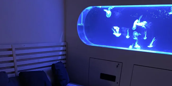 Luxusní privátní odpočinek: 3 hod. nebo až celá noc ve wellness pokoji