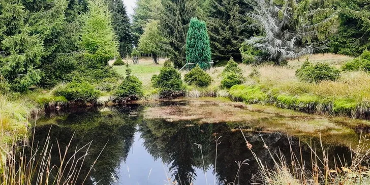 Relax nebo dámská jízda v Brdech: polopenze, wellness i sportovní vyžití