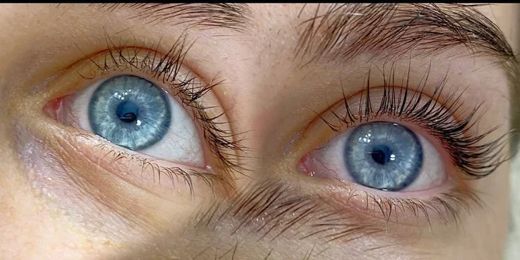 Laminace, barvení obočí a lash lifting řas ve studiu Excellent