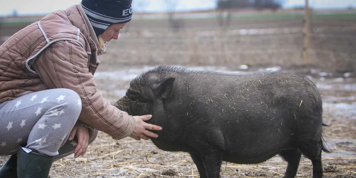Rodinný vstup na statek se spoustou zvířat: velbloudi, pštros, opičky, kozy, lamy i chameleon