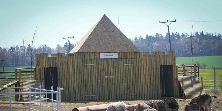 Rodinný vstup na statek se spoustou zvířat: velbloudi, pštros, opičky, kozy, lamy i chameleon