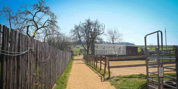 Rodinný vstup na statek se spoustou zvířat: velbloudi, pštros, opičky, kozy, lamy i chameleon