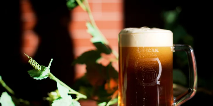 Uvařte si vlastní pivo: na den sládkem v minipivovaru Paličák pro 1 i 2 osoby