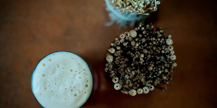 Uvařte si vlastní pivo: na den sládkem v minipivovaru Paličák pro 1 i 2 osoby