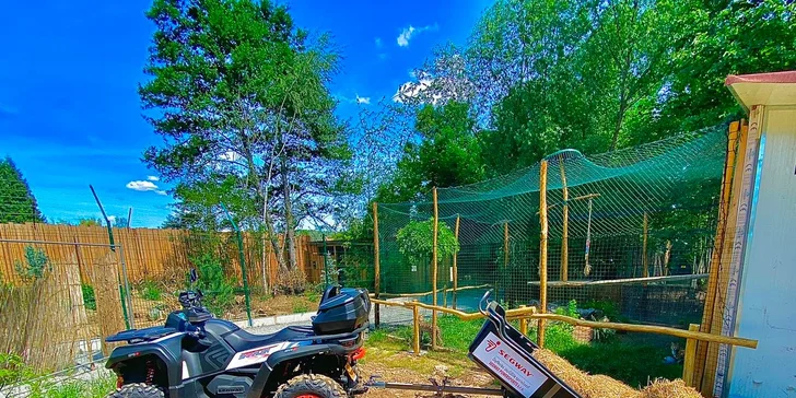Na den ošetřovatelem v ZOO Plasy pro 1 i 2 osoby: poznejte 80 druhů exotických zvířat zblízka