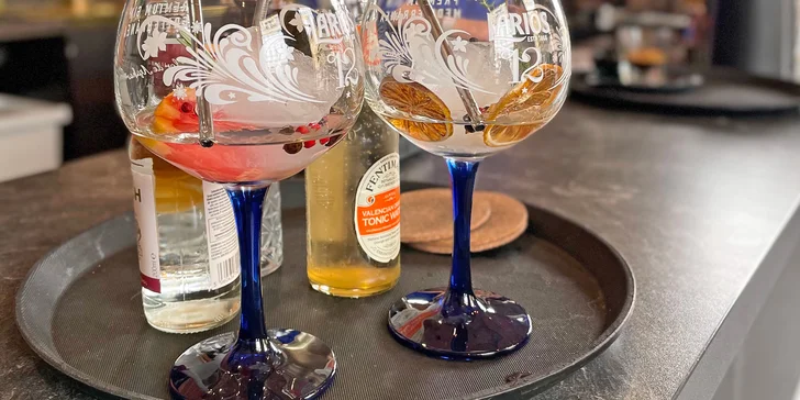 Degustace ginů s tonicem pro 1 i 2 osoby: kvalitní pití ozdobené sušenými citrusy, bylinkami a kořením