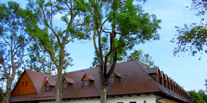 Tříchodové menu pro jednu či dvě osoby v krásném prostředí rodinného hotelu Pod Bílou Skálou na Vysočině