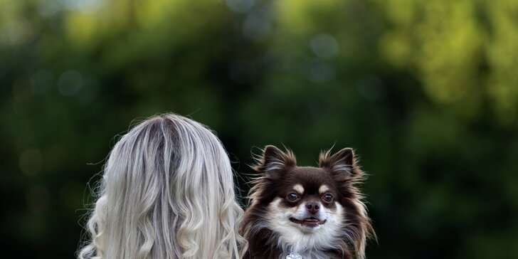 Focení psů: portréty nebo s páníčkem, možno vyfotit i více pejsků, 5 či 7 fotek