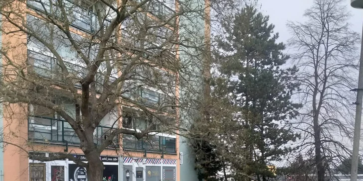 Nelly Carter Barber Shop: pánský i dětský střih, úprava vousů strojkem či břitvou