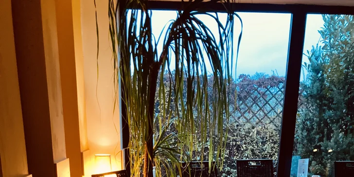 Vstup do veřejného wellness s pravou finskolu saunou pro děti i dospělé