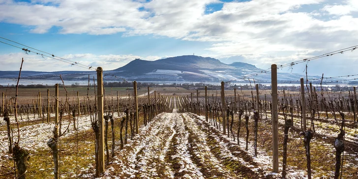 Dovolená mezi vinicemi: luxusní apartmány na Pálavě pro dva i rodinu