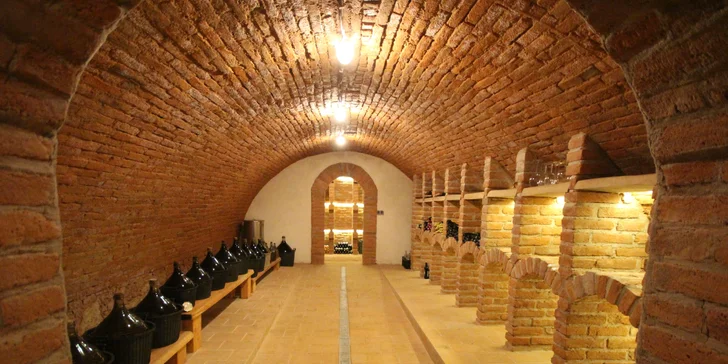 Dovolená na Pálavě: ubytování v útulném penzionu, lahev vína, privátní sauna i koupání v přírodním jezírku