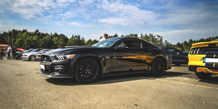 Žihadlo Mustang GT 5.0 V8: 30 min. spolujízdy nebo až hodina řízení