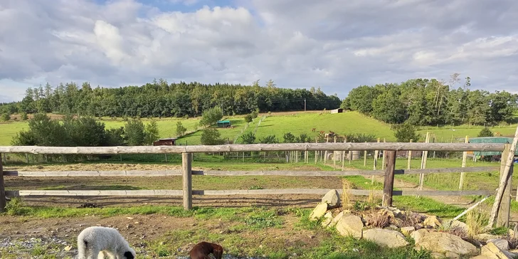 Farmářem na zkoušku: den na statku, jízda na koni, práce se zvířaty