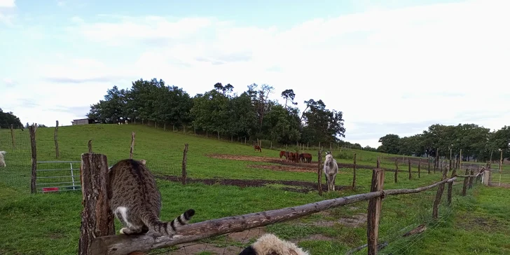 Farmářem na zkoušku: den na statku, jízda na koni, práce se zvířaty