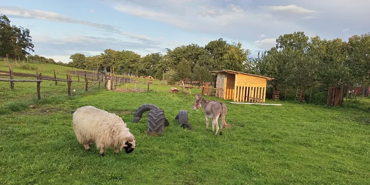 Farmářem na zkoušku: den na statku, jízda na koni, práce se zvířaty